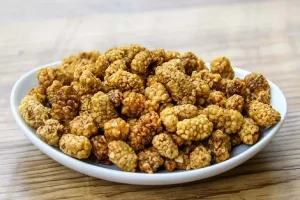 خرید توت خشک خانگی + معرفی کارخانه تولید و عرضه پخش