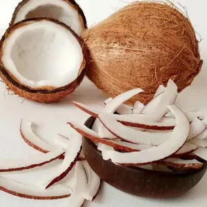 خرید و قیمت روز نارگیل خشک