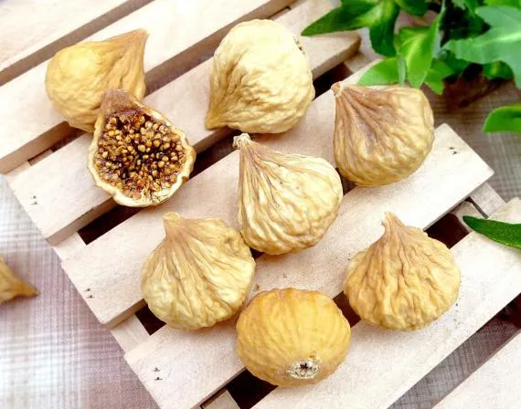 قیمت خرید انجیر خشک شیراز + عکس