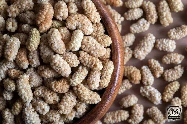 قیمت خرید توت خشک درجه یک + فروش در تجارت و صادرات