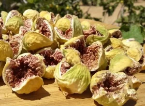 قیمت خرید انجیر خشک صد یک + تست کیفیت