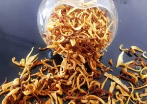 قیمت خرید سیب خشک قرمز خلال + فروش در تجارت و صادرات