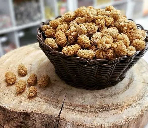 قیمت خرید توت خشک اصفهان + مزایا و معایب