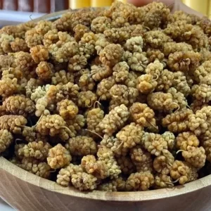 بهترین توت خشک پاستیلی کدام است؟ + مقایسه کامل | قیمت عالی