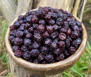 خرید و قیمت جدیدترین انواع آلبالو خشک