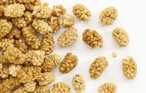 خرید جدیدترین انواع توت خشک اعلا قیمت از معتبرترین برندهای دنیا