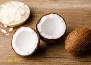 قیمت خرید نارگیل خشک کاسه ای + فروش در تجارت و صادرات