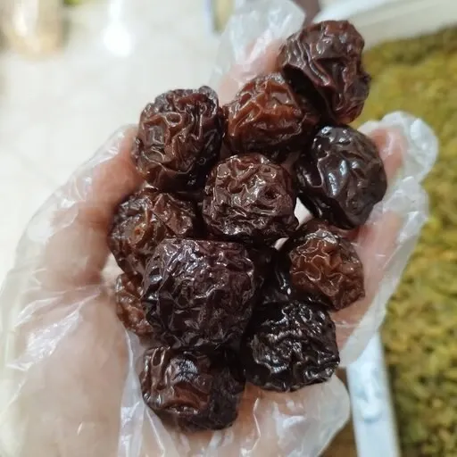 خرید جدیدترین انواع آلو خشک سیاه مراغه از معتبرترین برندهای دنیا