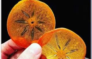 قیمت خرید خرمالو خشک عمده + طرز تهیه