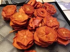 خرید جدیدترین انواع خرمالو خشک از معتبرترین برندهای دنیا