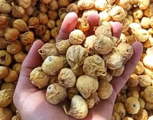 خرید انجیر خشک عسلی + بهترین قیمت