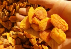 قیمت زردآلو خشک با هسته + خرید انواع متنوع