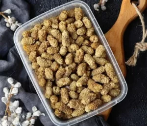 قیمت خرید توت خشک درجه یک + فروش در تجارت و صادرات